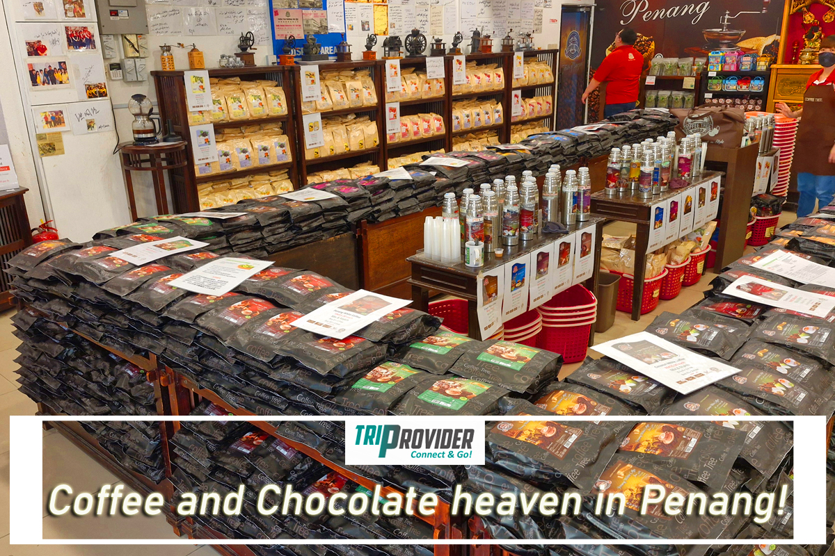 Triprovider - Penang Day Trip - Coffee Tree Tastings Triprovider - Penang Day Trip -Coffee Tree Tastings